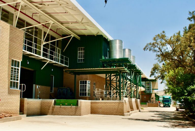y-associates-projects-building-6